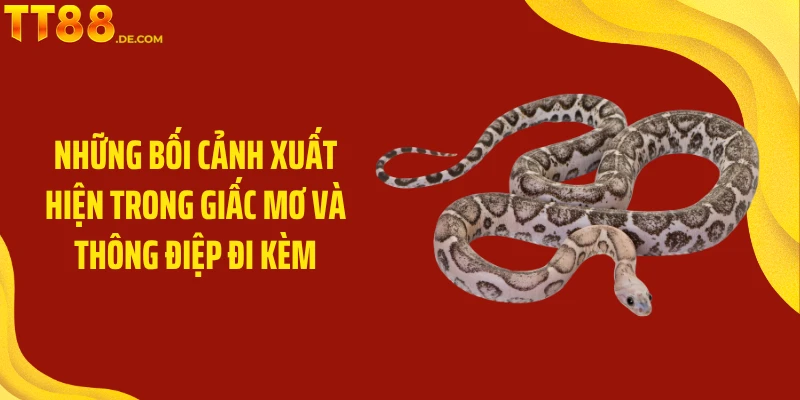 Những bối cảnh xuất hiện trong giấc mơ và thông điệp đi kèm